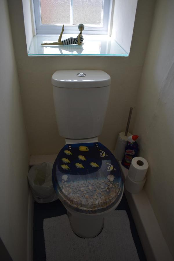 Apartamento Froglets Tregoney Exterior foto